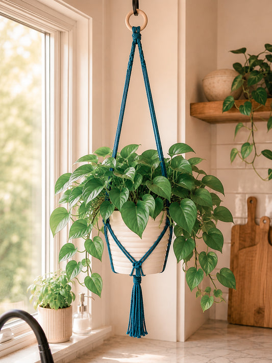 Macramé Plant Holder - Midnight Blue / Long